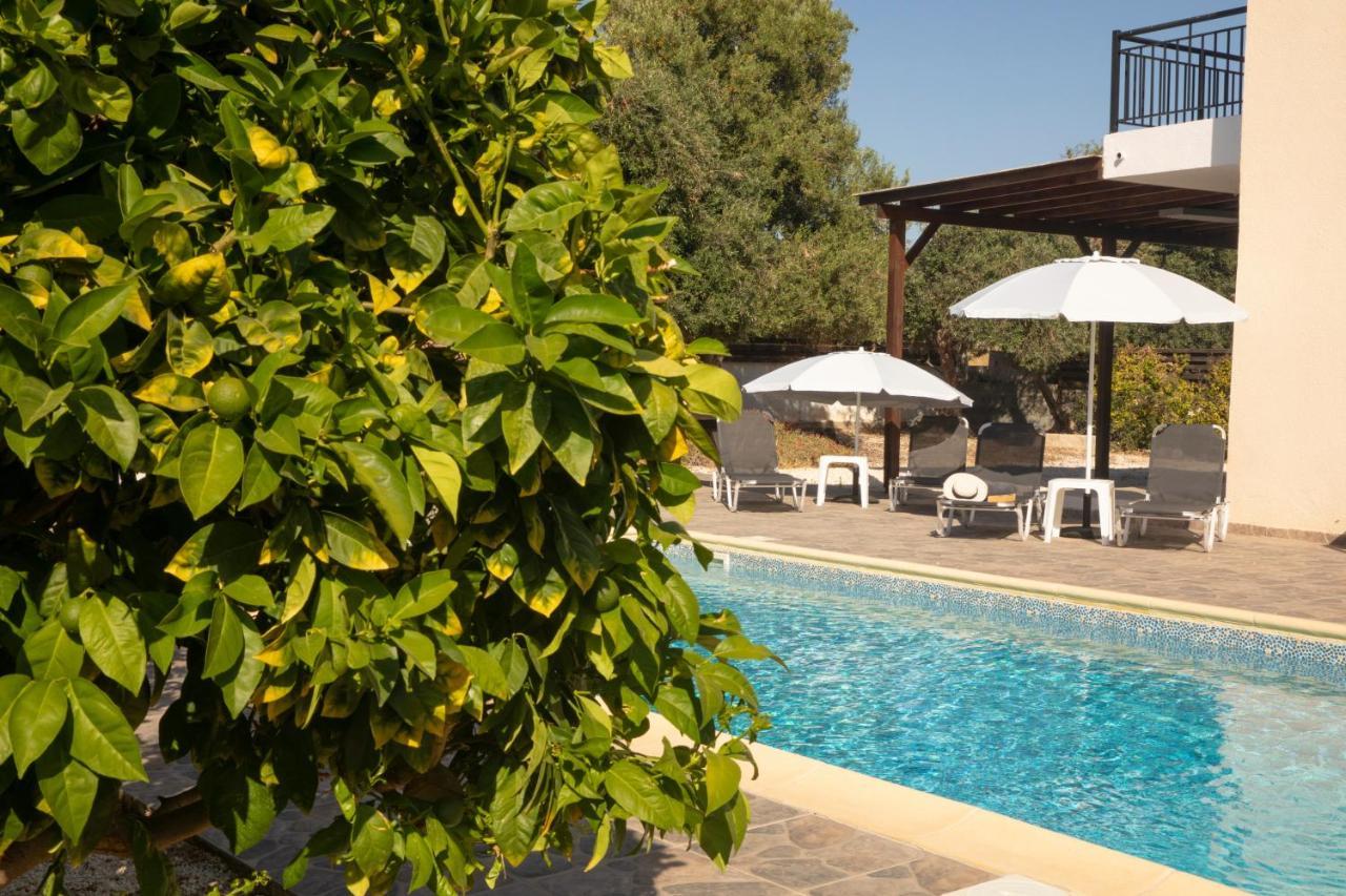 Villa Gavalas Peyia Dış mekan fotoğraf